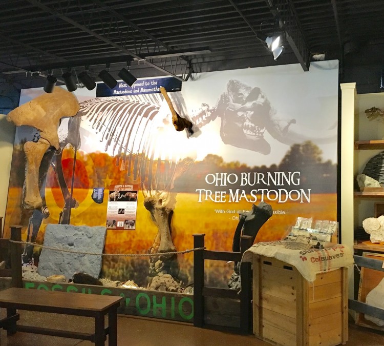 Akron Fossils & Science Center (Akron,&nbspOH)